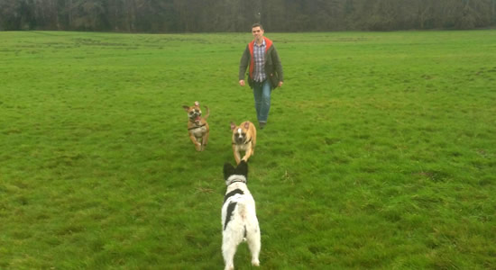 Dog Walking in Swindon